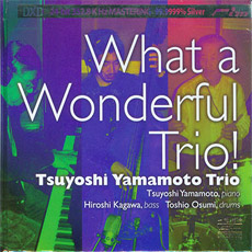  ߸ Ʈ / 󸶳   Ʈ°! ; Tsuyoshi Yamamoto Trio / What a Wonderful Trio! (DXD)