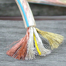 Eagle Cable(̱ ̺) Ŀ ̺ Transmission Alpha 4.02 (1.0m)