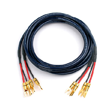 Siltech Ŀ ̺ MXT NewYork (3m, pair)